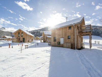 Holiday park Modern chalet with whirlpool - Outdoor photo 4