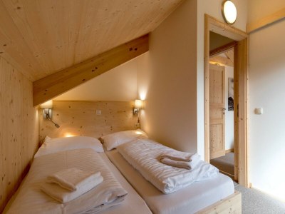 Holiday park Modern chalet with whirlpool - Features photo 16