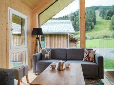 Holiday park Amazing chalet with whirlpool - Features photo 21