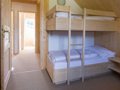 Holiday park Majestic chalet with sauna - Features photo 14