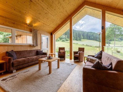 Holiday park Premium chalet with infrared sauna - Features photo 16