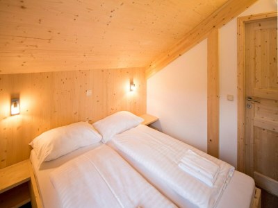 Holiday park Chalet mit Infrarotsauna - Features photo 9