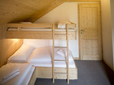 Holiday park Chalet mit Infrarotsauna - Features photo 13
