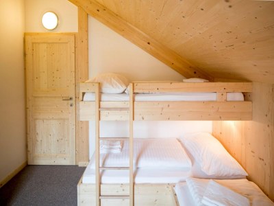 Holiday park Chalet mit Infrarotsauna - Features photo 14