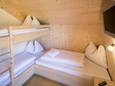 Holiday park Chalet with indoor hot tub - Features photo 4