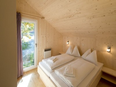 Holiday park Chalet with indoor hot tub - Features photo 12