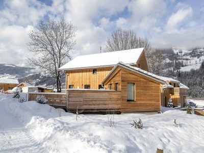 Holiday park Attractive chalet with whirlpool - Outdoor photo 3