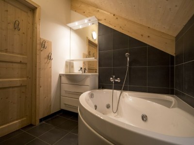 Holiday park Spacious chalet with infrared sauna - Features photo 17