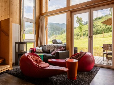 Holiday park Premium chalet with sauna - Features photo 12