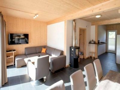 Holiday park Chalet in the ski area in Styria - Features photo 7