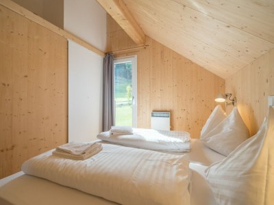 Holiday park Superior Chalet mit Sauna und Whirlpool - Features photo 24
