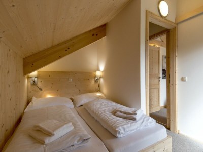 Holiday park Lebendiges Chalet in der Nähe der Skipiste - Features photo 16
