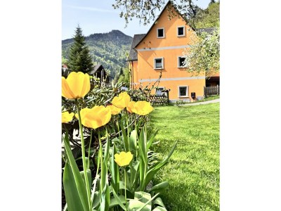 Apartment Ferienwohnung 1 - Outdoor photo 2