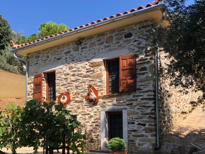 Holiday house Kalivi Elena in Kardamata/Notio Pilio Argalasti - Holiday house