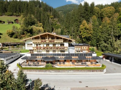 Apartment Ferienwohnung Nr. 14 in Wald im Pinzgau - Apartment