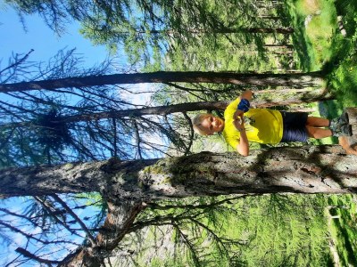 Apartment 2-Schlafzimmer-Appartement + Balkon/Terrasse, Bergblick - Outdoor photo 34