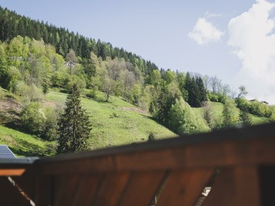 Apartment Ferienhaus mit Sauna & Garten - Outdoor photo 50