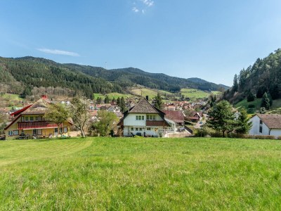 Holiday house Schwarzwaldhaus Barth in Gutach (Schwarzwaldbahn) - Holiday house