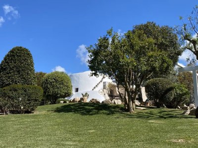Holiday house Trulli Relax Immobilieare - Outdoor photo 5