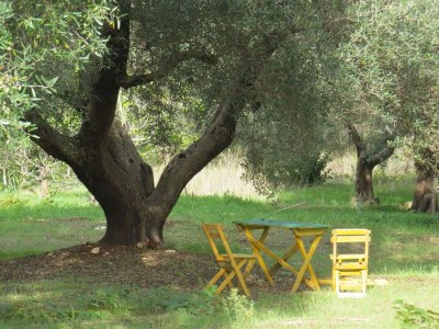 Holiday house Trulli Relax Immobilieare - Outdoor photo 15