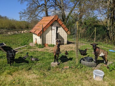 Holiday house La Vacherie - Outdoor photo 13