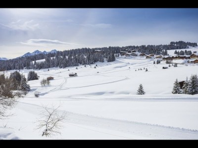 Apartment Wohnung in Hauteluce mit Ski-In/Ski-Out - Environment photo 33