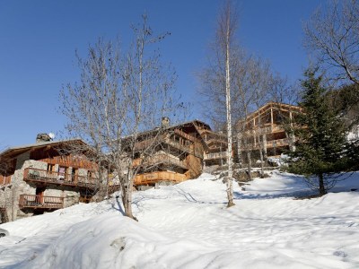 Holiday park Stilvolles Chalet in Sainte-Foy mit Spa - Outdoor photo 6