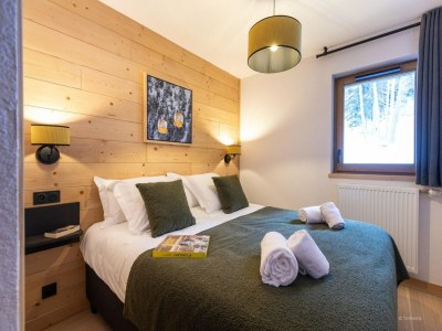 Apartment Wohnung in Frankreich nahe Fornelet Seilbahn - Features photo 16