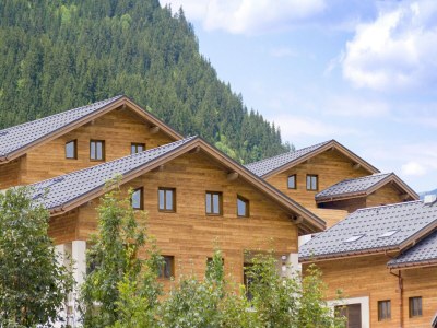 Holiday park Apartment in Beaufort near Ski Slopes - Outdoor photo 4
