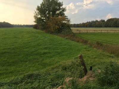 Holiday house Chalet in Friesland near Large Lakes - Environment photo 27