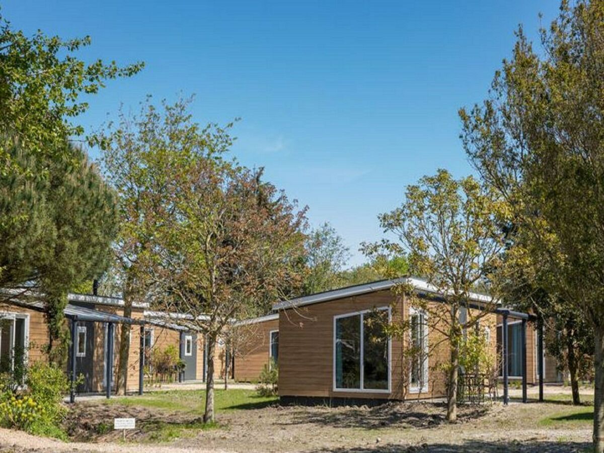 Holiday park Chalet in Vrouwenpolder near Banjaard Beach