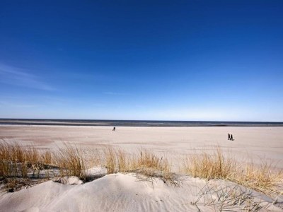 Holiday park Chalet in Vrouwenpolder near Banjaard Beach - Environment photo 21