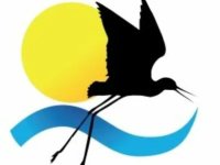 Tomasi Tourism Srl