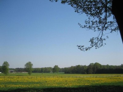 Holiday park Waterside Bliss in Lochem - Environment photo 17