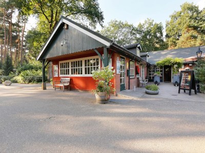 Holiday park Schicke Waldhütte mit Sauna - Outdoor photo 37