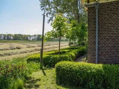 Apartment 4-person Appartement Rustiek in Schagen - Environment photo 16