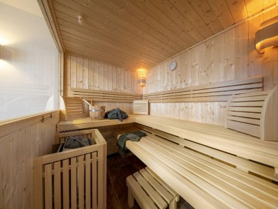 Holiday park Chalet in Neukirchen nahe Wildkogel Piste - Features photo 34