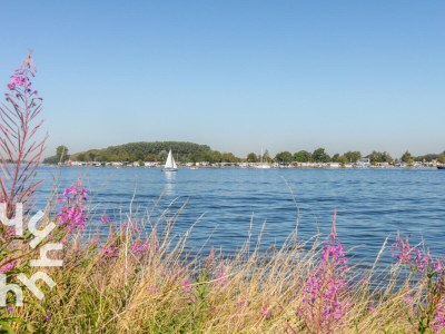 Holiday house Wolphaartsdijk - ZE1545 - Environment photo 48