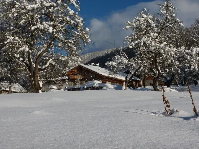 Holiday house Nature Ski Lodge Sterwen - Outdoor photo 3