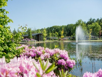 Holiday park Chalet in den Niederlanden am Teich - Outdoor photo 33