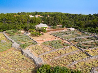Holiday house Four-bedroom house with terrace and sea view Humac, Hvar K-8805 in Jelsa - Holiday house