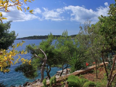 Apartment Three bedroom apartment near beach Gršćica, Korčula A-9228-a - Outdoor photo 10
