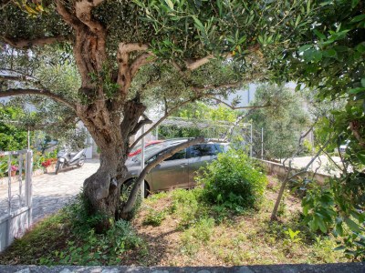 Apartment One bedroom apartment with terrace Rogoznica A-4313-d - Outdoor photo 10