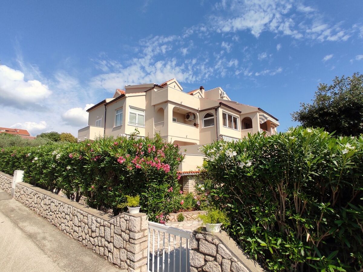 Apartment Apartments by the sea Mandre, Pag - 23187 - Apartments by the sea Mandre, Pag - 23187