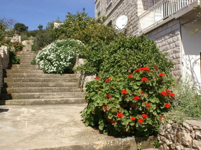 Apartment One bedroom apartment near beach Lumbarda, Korčula A-4440-a - Outdoor photo 11
