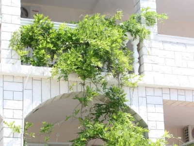 Apartment Two bedroom apartment with terrace Stara Novalja, Pag A-6469-a - Outdoor photo 5