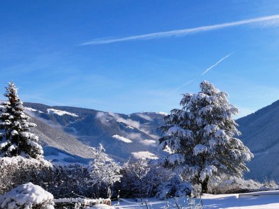 Holiday apartment Farmhouse - Outdoor photo 11