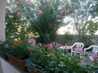 Apartment One bedroom apartment with terrace Privlaka, Zadar A-24002-a - Outdoor photo 3