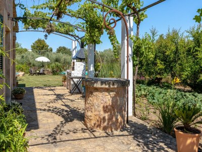 Villa Villa in Alcudia with Private Pool & Terrace - Outdoor photo 14
