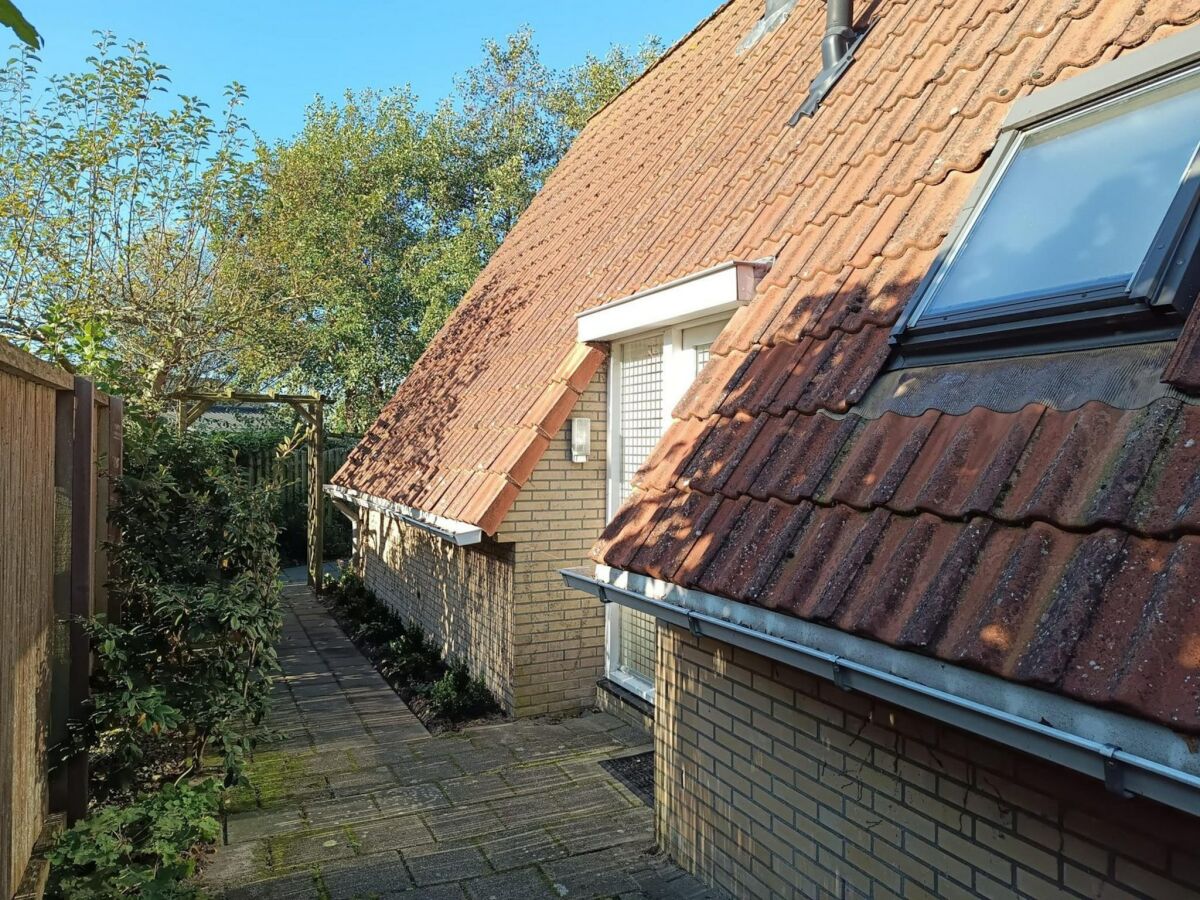 Holiday house Gemütliches Ferienhaus in Sint Maartenszee - Outdoor photo 2